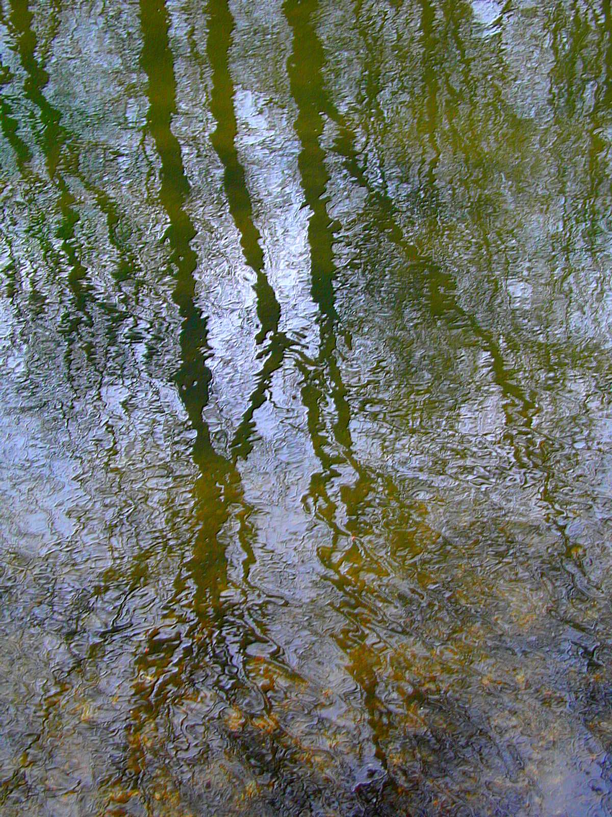 Wallpapers Nature Water - Reflection Reflets