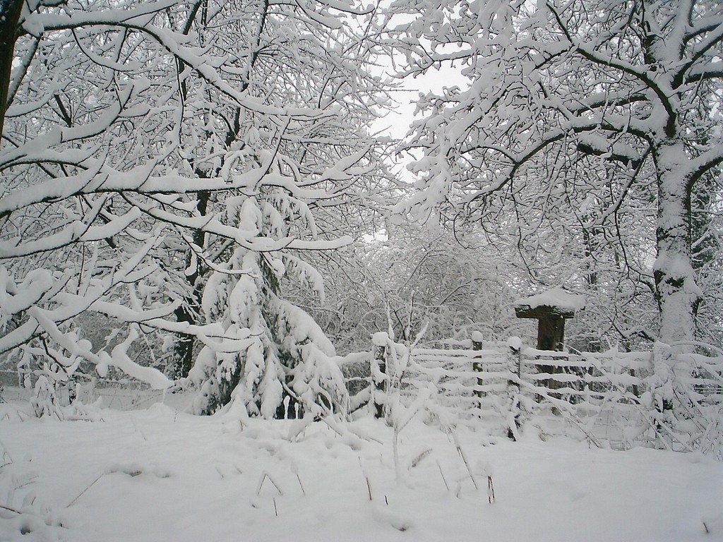 Wallpapers Nature Saisons - Winter 5 mars 2006 ( Alsace ) 1