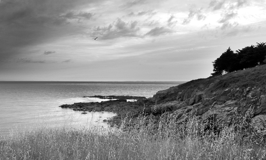 Fonds d'cran Nature Mers - Ocans - Plages Bretagne