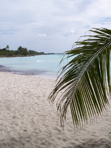 Fonds d'cran Nature Mers - Ocans - Plages Paradis Blanc