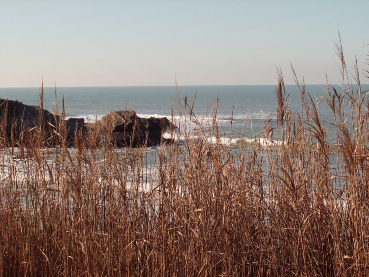 Wallpapers Nature Seas - Oceans - Beaches bord de mer