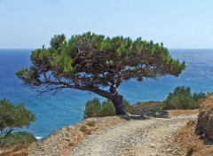 Wallpapers Trips : Europ Ile de Karpathos (Grce)