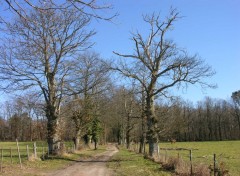 Wallpapers Nature Chemin de promenade