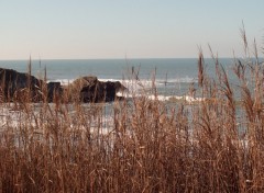 Fonds d'cran Nature bord de mer