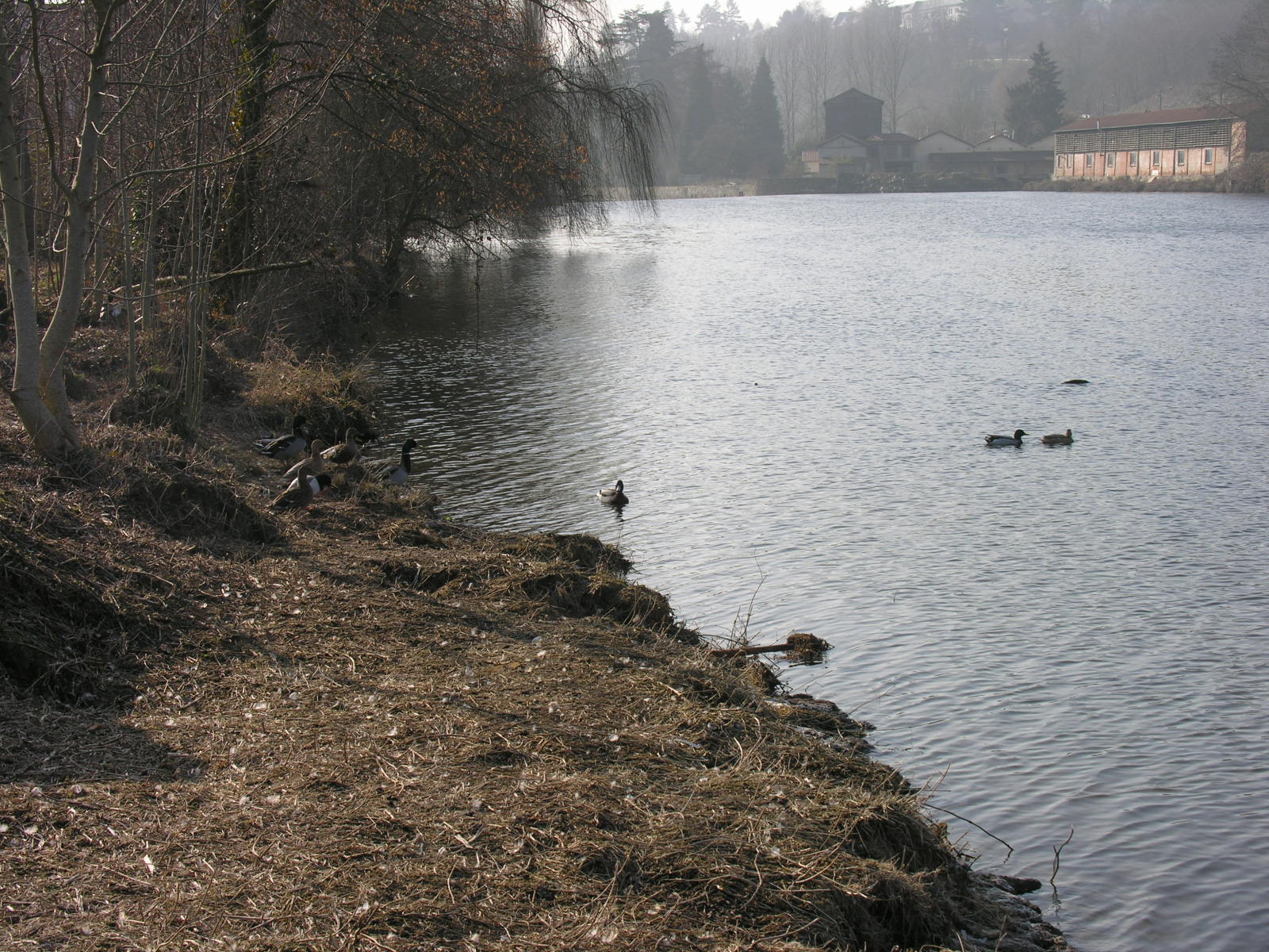 Wallpapers Nature Rivers - Torrents La Vienne