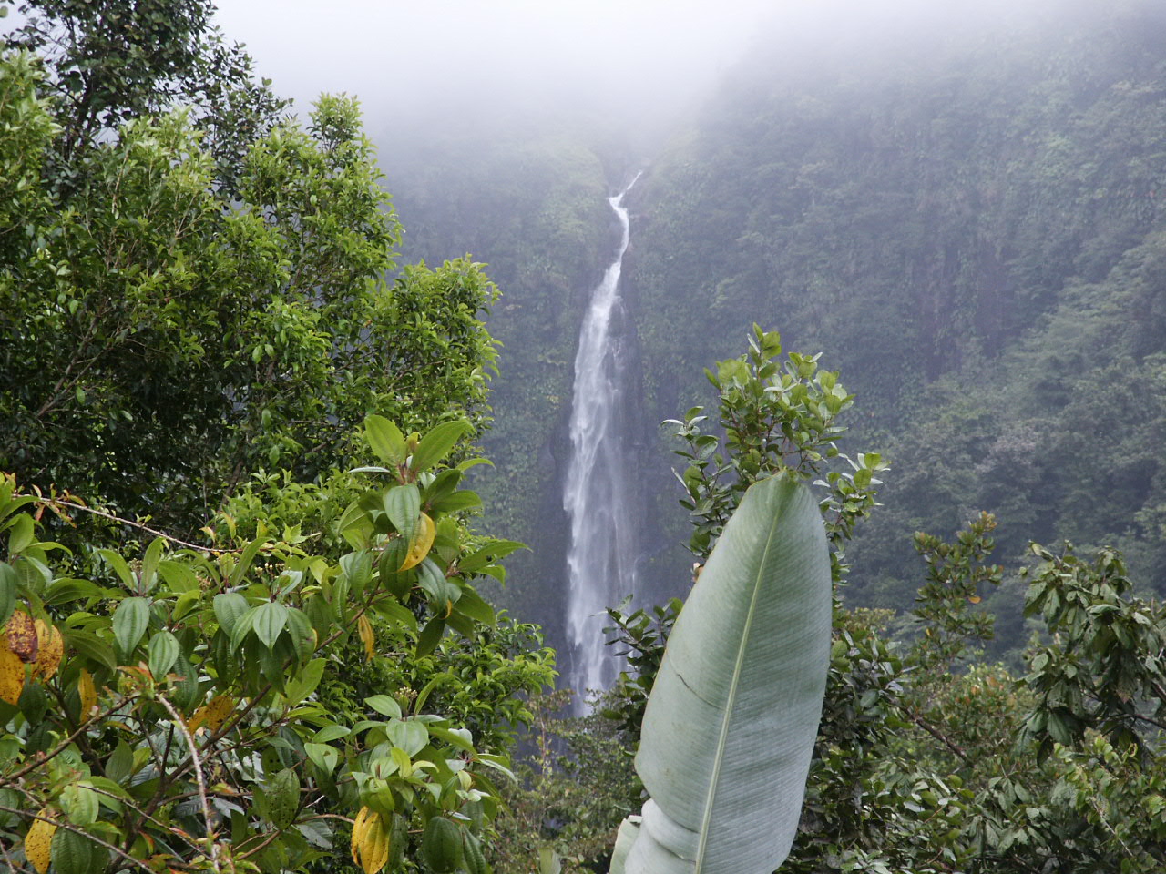 Fonds d'cran Nature Cascades - Chutes Guadeloupe