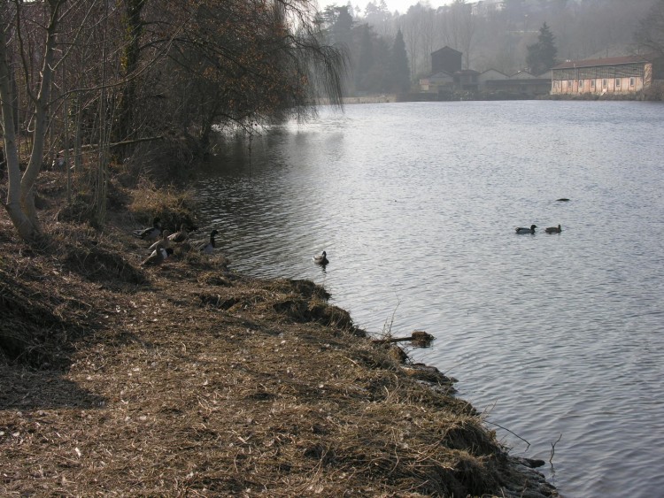 Fonds d'cran Nature Fleuves - Rivires - Torrents La Vienne