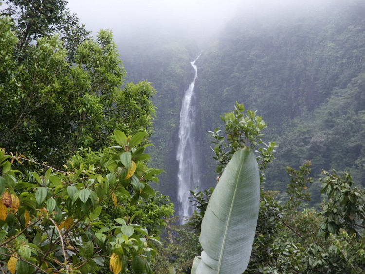 Wallpapers Nature Waterfalls Guadeloupe