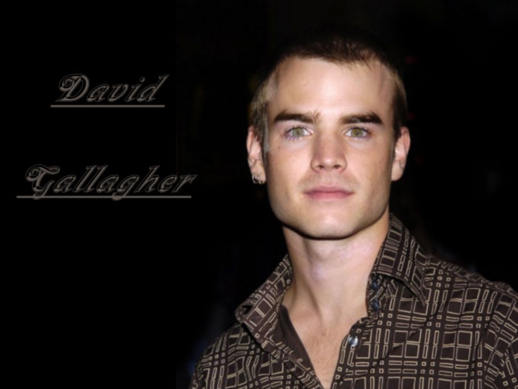 Fonds d'cran Clbrits Homme David Gallagher David