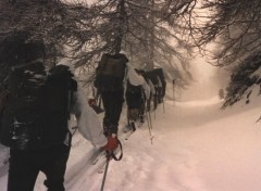 Fonds d'cran Sports - Loisirs Ski de Randonne