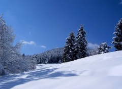 Wallpapers Nature Paysage hivernal