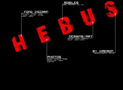 Wallpapers Brands - Advertising HEBUS Design