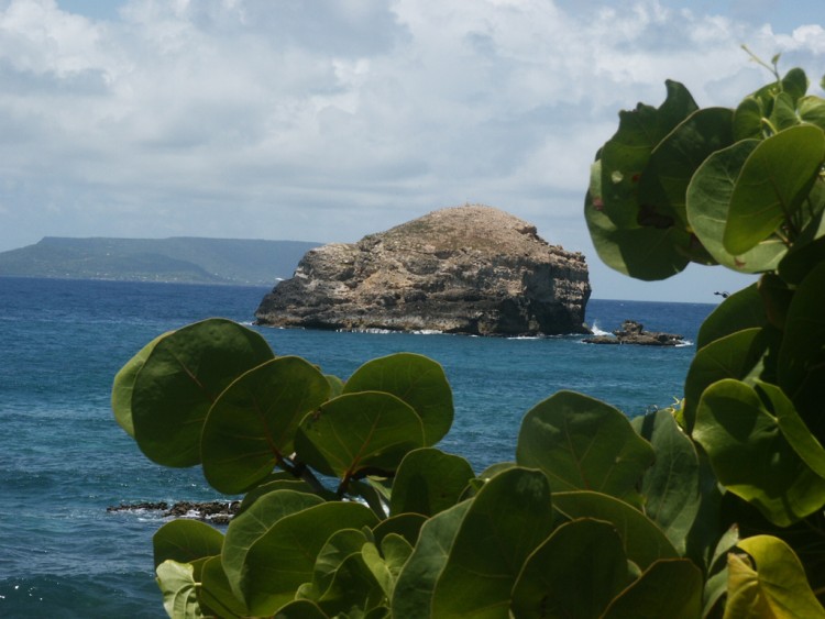 Fonds d'cran Voyages : Amrique du nord La Guadeloupe La Guadeloupe