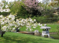 Fonds d'cran Nature jardin japonais de Hasselt