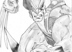 Wallpapers Art - Pencil Wolverine !!!!!