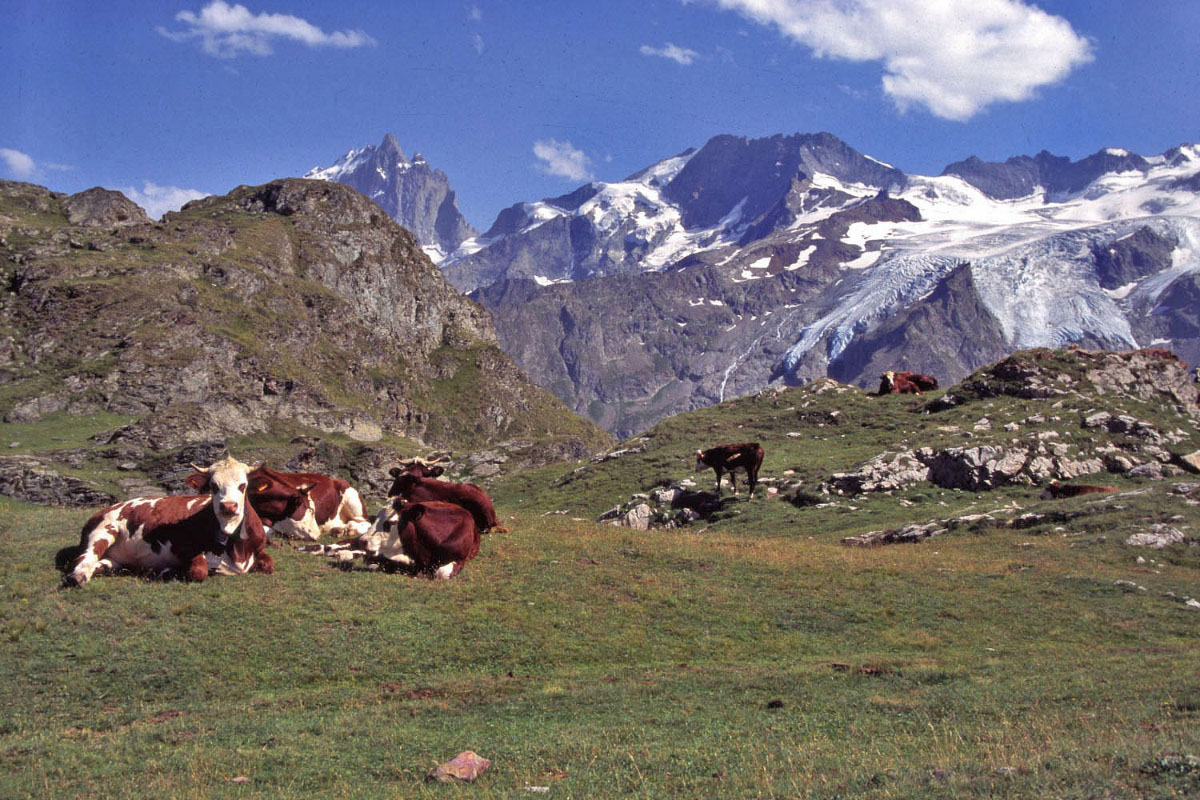 Wallpapers Nature Mountains Les Ecrins