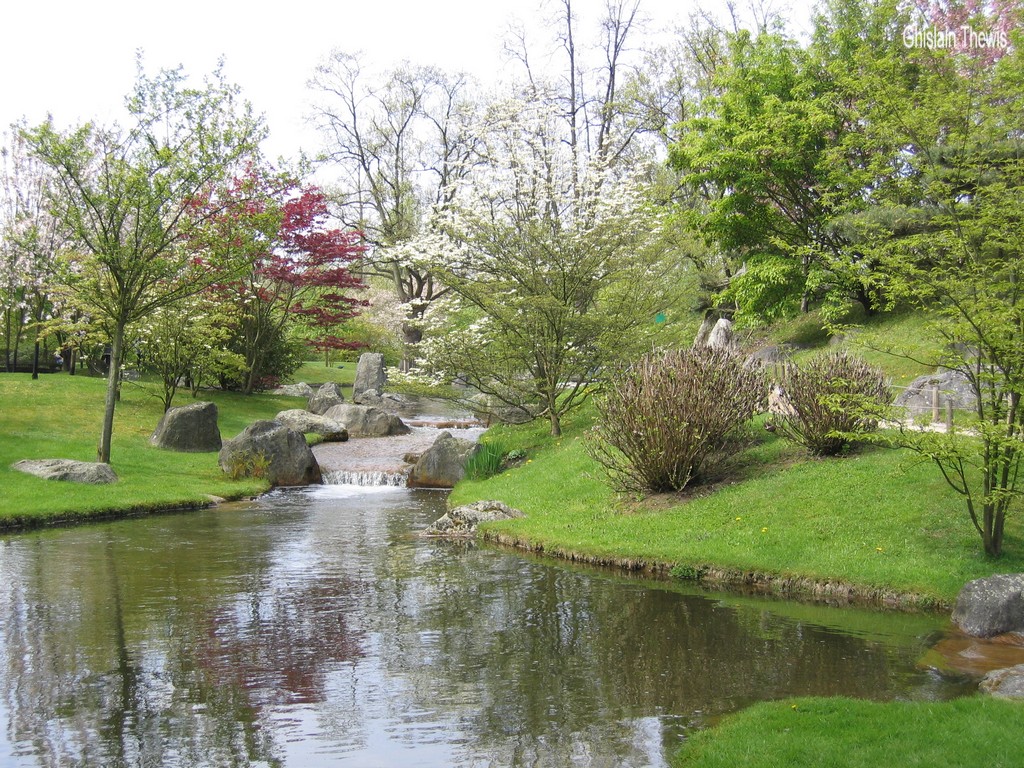 Fonds d'cran Nature Parcs - Jardins jardin japonais de Hasselt