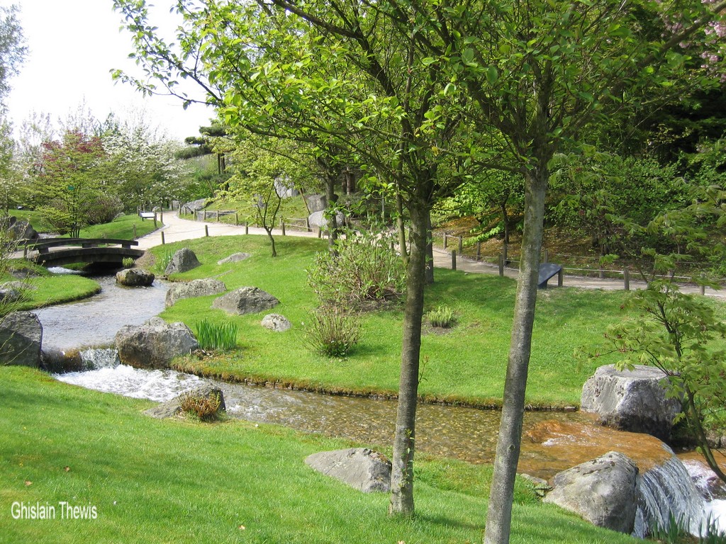 Fonds d'cran Nature Parcs - Jardins jardin japonais de Hasselt