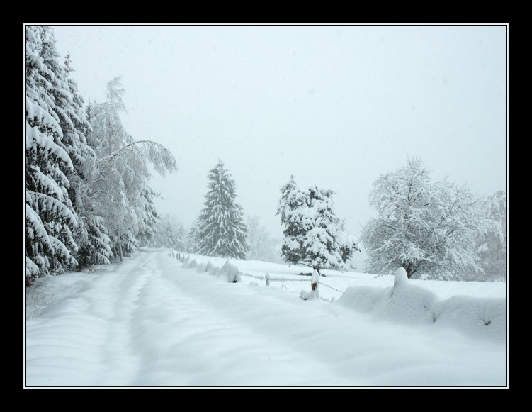 Fonds d'cran Nature Saisons - Hiver En pleine neige