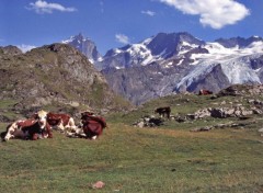 Wallpapers Nature Les Ecrins