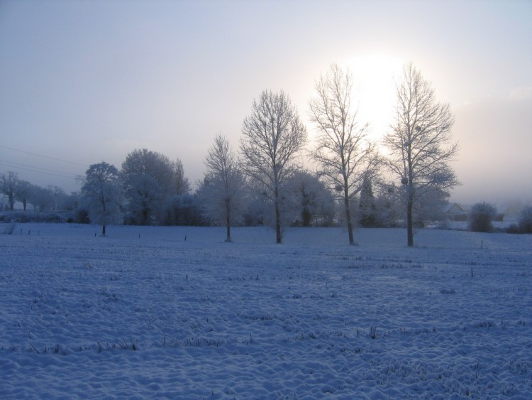 Fonds d'cran Nature Saisons - Hiver Bocage normand enneig