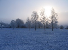 Fonds d'cran Nature Bocage normand enneig