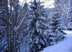 Fonds d'cran Nature la neige