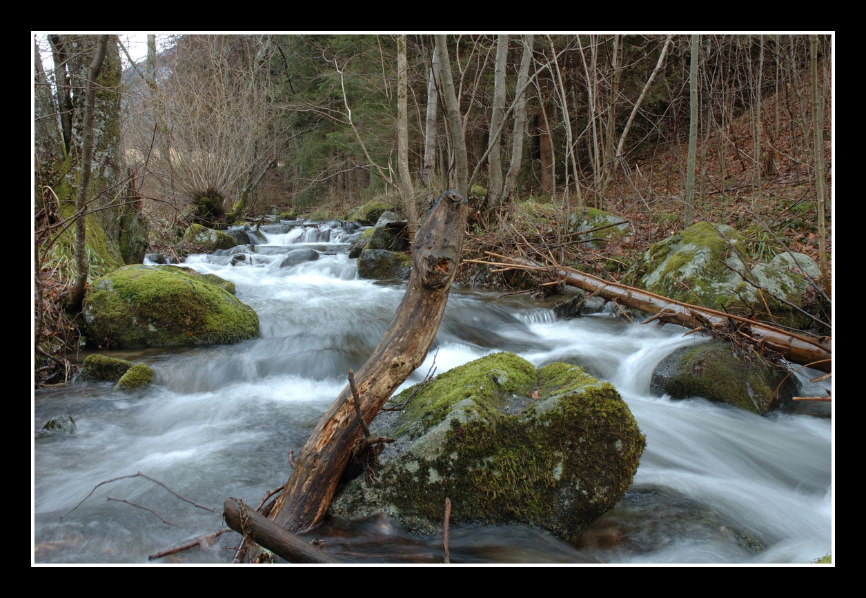 Fonds d'cran Nature Fleuves - Rivires - Torrents Torrent