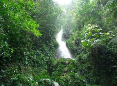 Fonds d'cran Nature Cascada en la Selva
