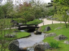 Fonds d'cran Nature jardin japonais de Hasselt