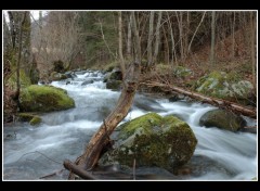 Fonds d'cran Nature Torrent