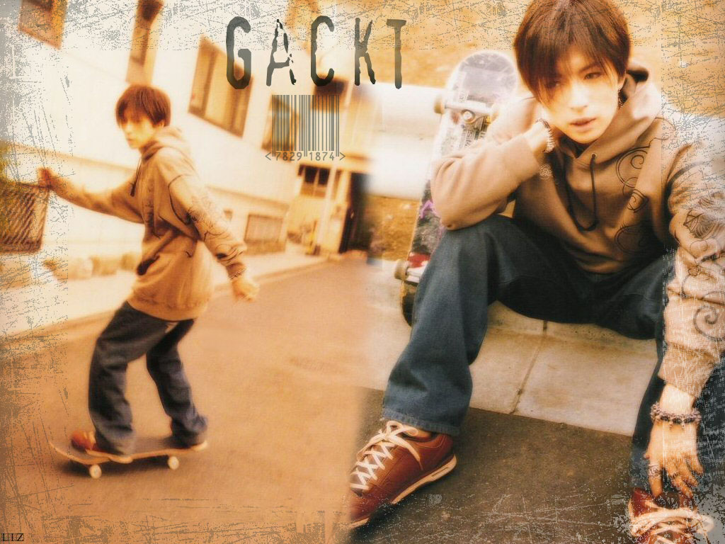 Wallpapers Music Gackt Skate 3