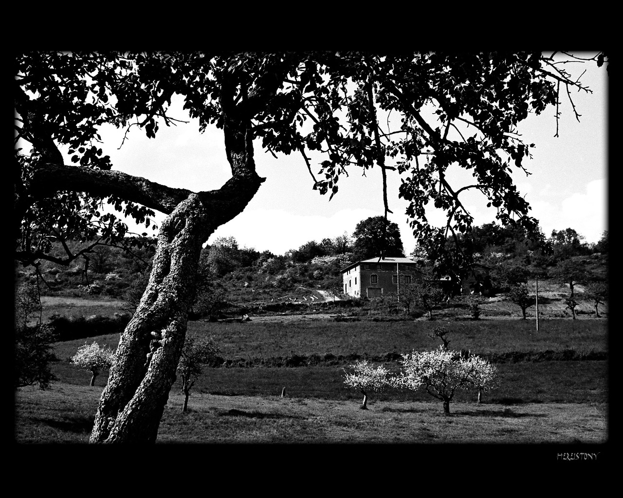 Fonds d'cran Voyages : Europe France > Rhne-Alpes Petite maison dans la prairie lyonnaise