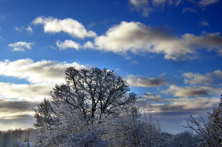 Wallpapers Nature Saisons - Winter Matin d'hiver