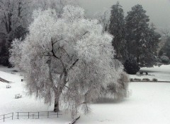 Fonds d'cran Nature Saison d'hiver