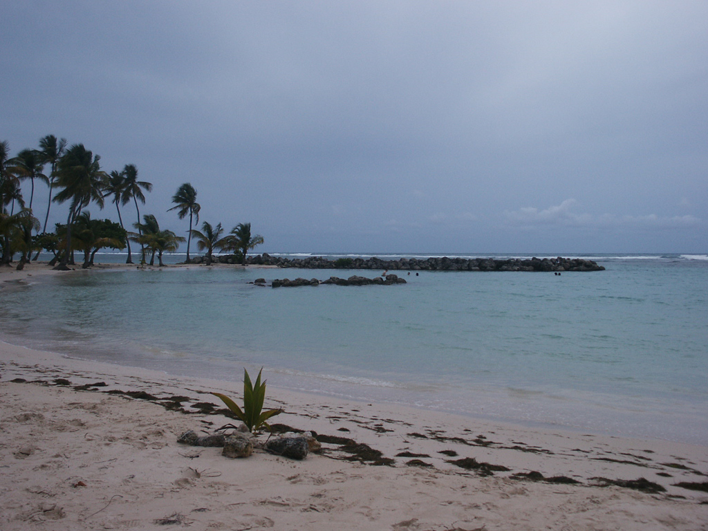 Fonds d'cran Nature Mers - Ocans - Plages La Guadeloupe