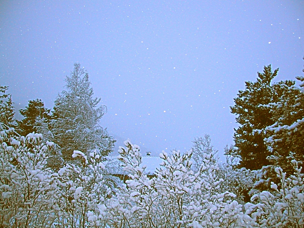 Fonds d'cran Nature Saisons - Hiver Paysage sous la neige