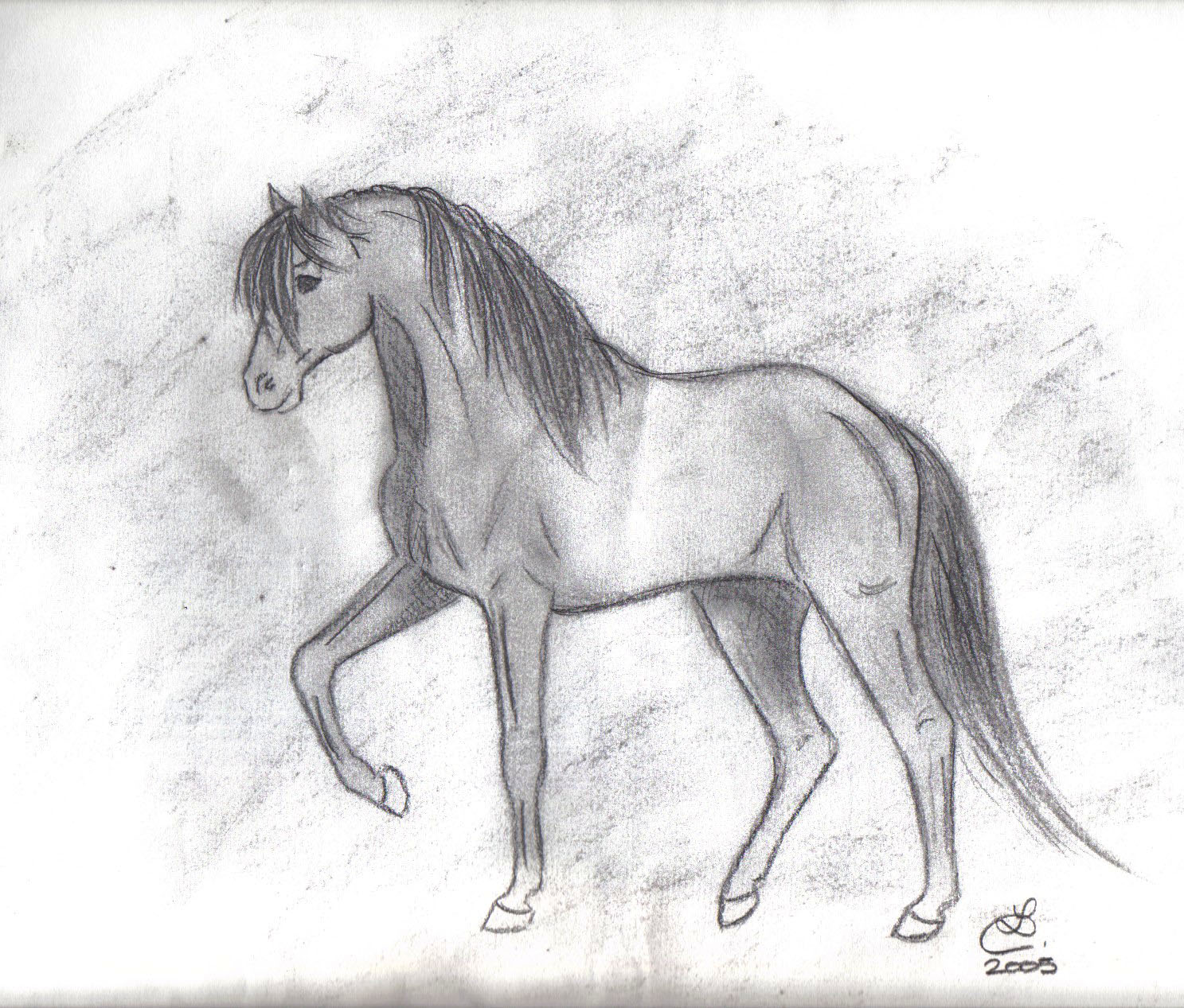 Wallpapers Art - Pencil Animals - Horses Grey Horse