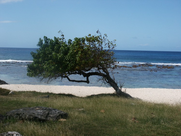 Fonds d'cran Voyages : Amrique du nord La Guadeloupe La Guadeloupe