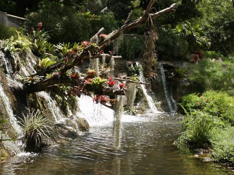 Fonds d'cran Voyages : Amrique du nord La Guadeloupe La Guadeloupe