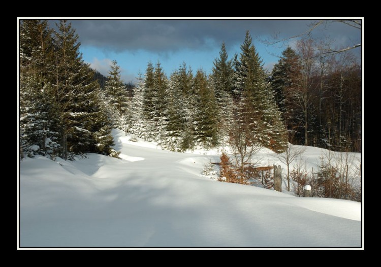 Wallpapers Trips : Europ France > Alsace Neige vierge