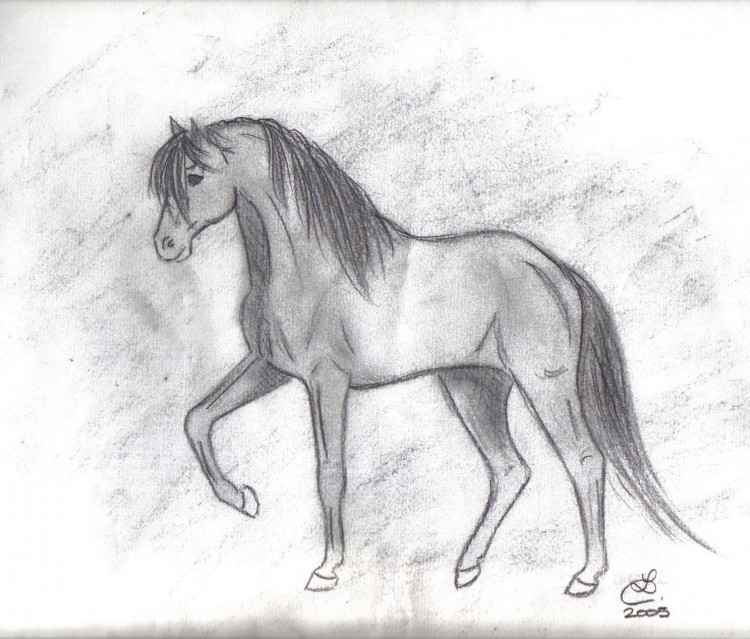 Fonds d'cran Art - Crayon Animaux - Chevaux Grey Horse