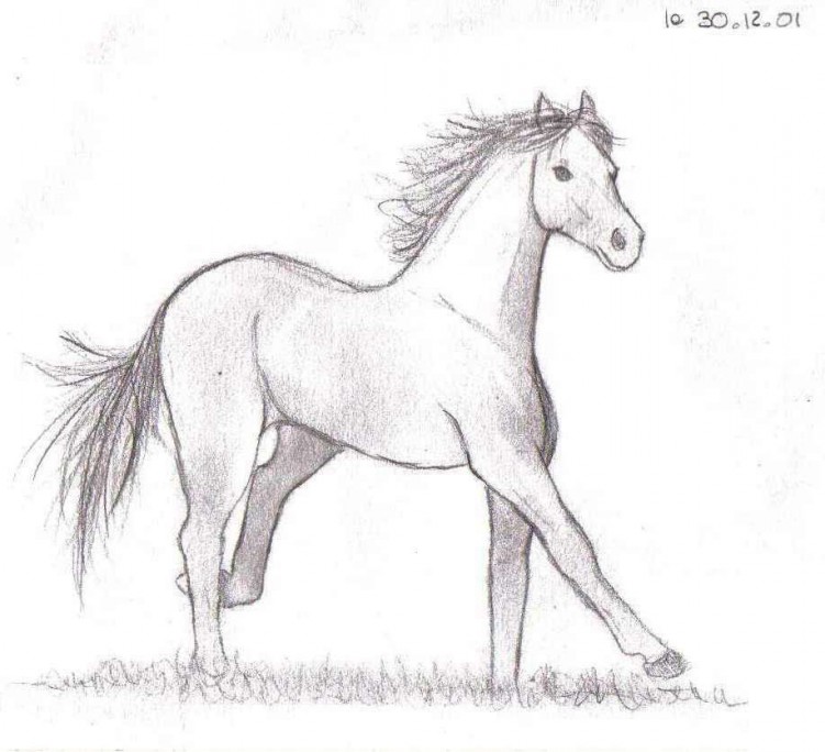 Fonds d'cran Art - Crayon Animaux - Chevaux Free Horse