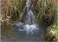 Fonds d'cran Nature Petite chute