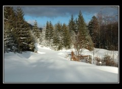 Wallpapers Trips : Europ Neige vierge