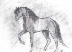 Wallpapers Art - Pencil Grey Horse