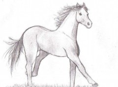 Wallpapers Art - Pencil Free Horse