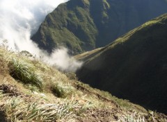 Fonds d'cran Nature Fro Paramo