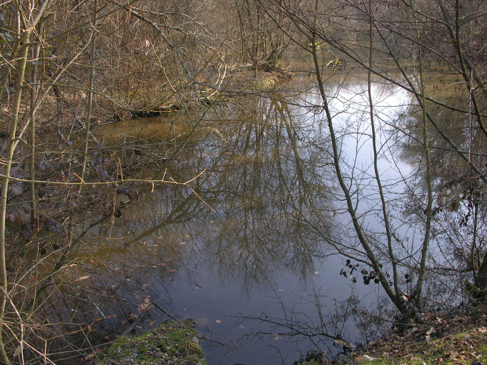 Fonds d'cran Nature Eau - Reflets 