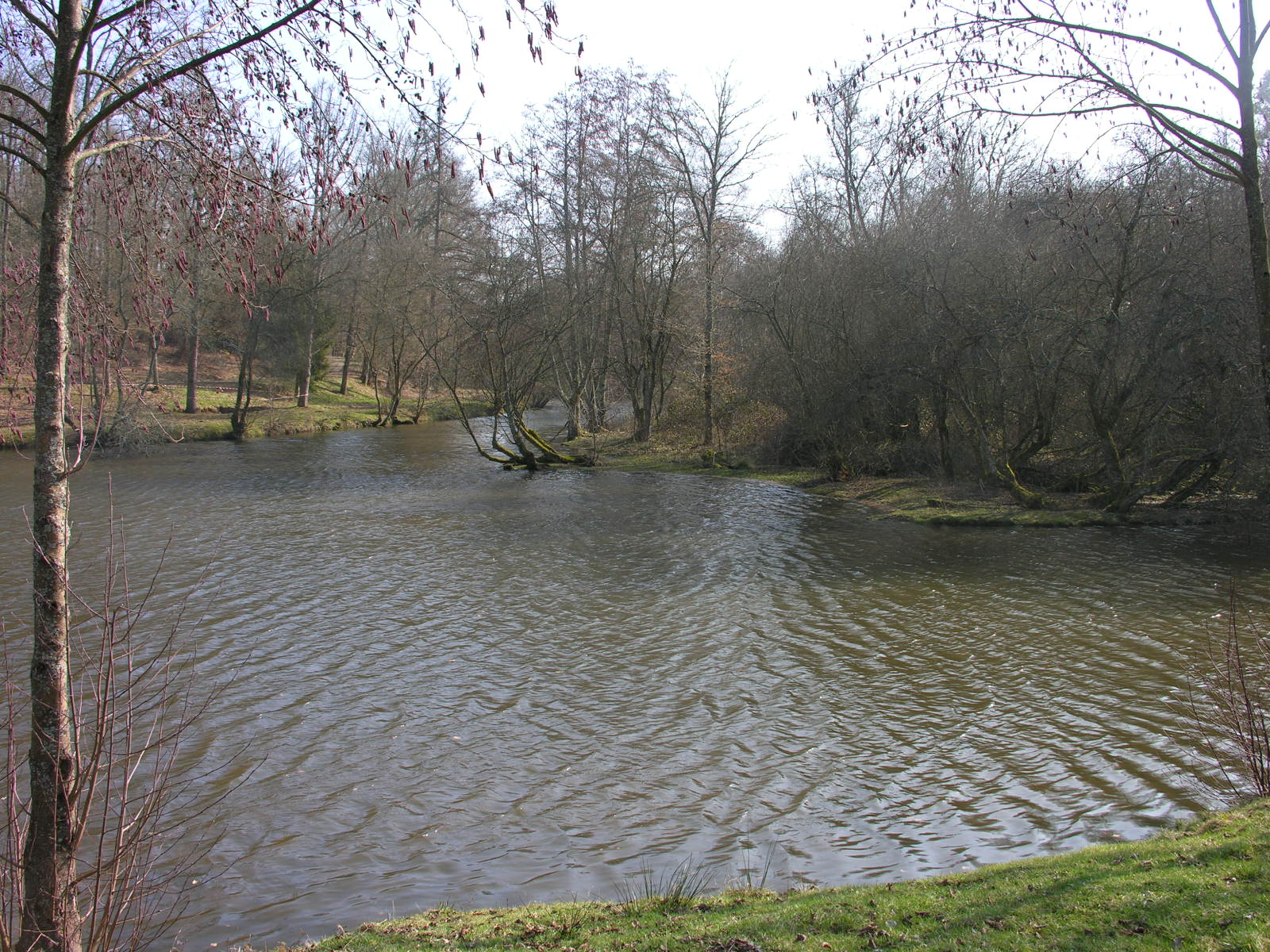 Fonds d'cran Nature Lacs - Etangs 